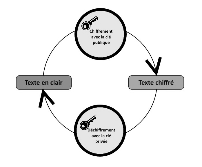 a3-97-fig001