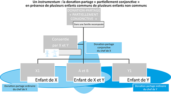 co3-a3526-fig001 Schéma d'un instrumentum : la donation-partage "partiellement conjonctive" en présence de plusieurs enfants-communs et de plusieurs enfants non communs