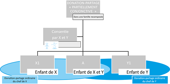 co3-a3529-fig002 Schéma d'Absence d'instrumentum : multiplicité de donations-partages en présence d'un seul enfant commun et de plusieurs enfants non communs